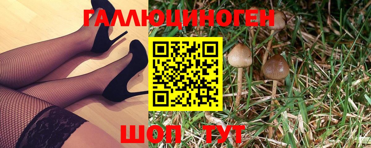 Псилоцибиновые грибы мицелий Кольчугино