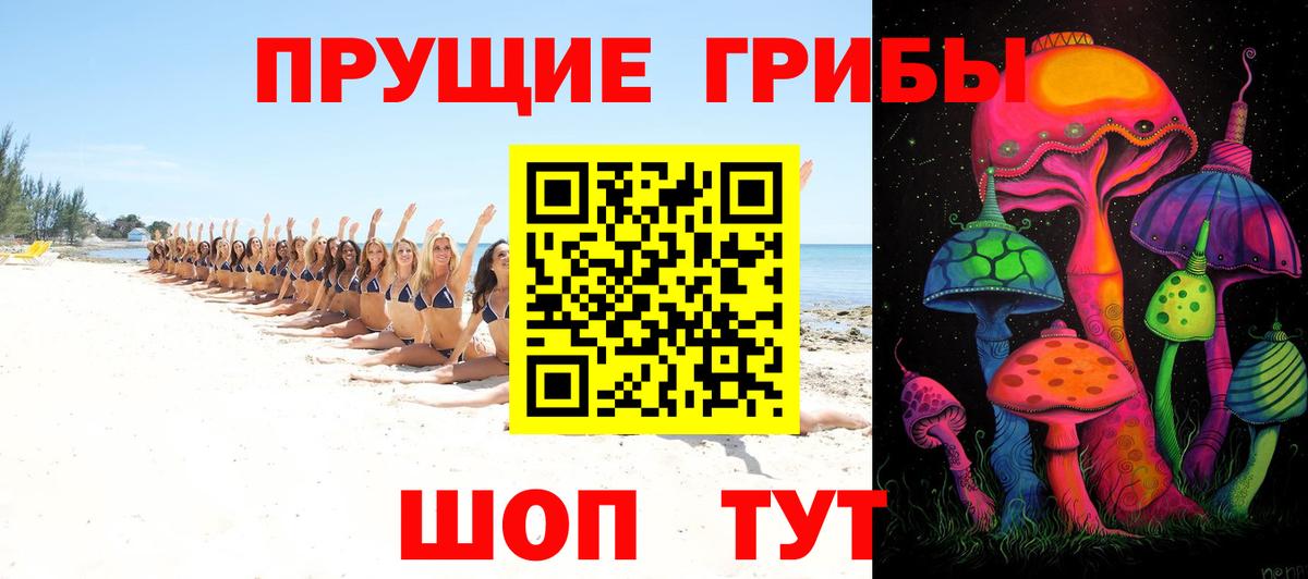 Галлюциногенные грибы ЛСД  Галлюциногенные грибы мицелий  Вход с VPN  Кольчугино 